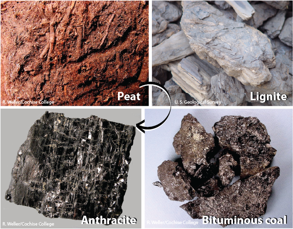 Images show the transformation of peat and lignite to anthracite and bituminous coal. Both peat and lignite are transformed to a coal substance that is darker than the original rock.