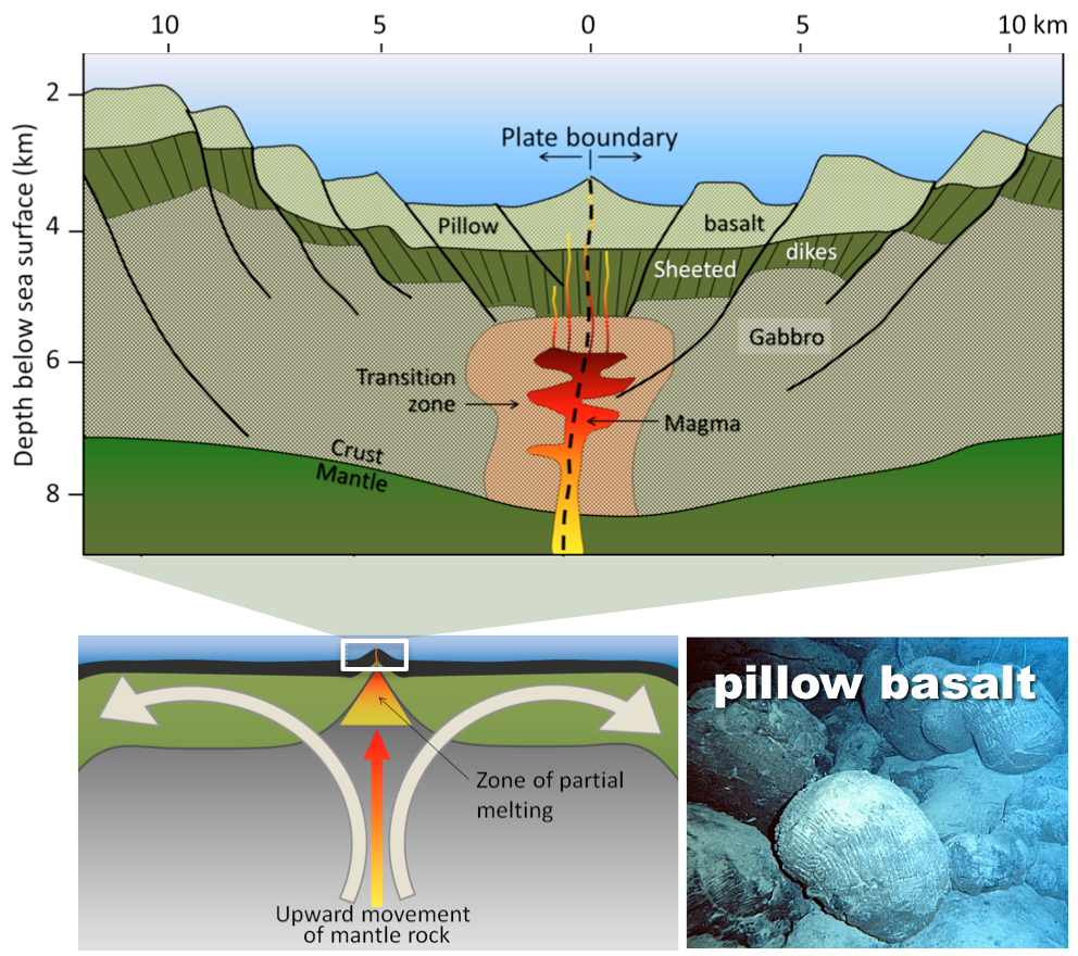 There are three figures. The top figures displays a side view of a divergent oceanic boundary which is layered downwards in from top down in the following order: piollow basalt, sheeted dikes, and gabbro, at its base where it borders the mantle. In the middle of the divergent ocean boundary towards the bottom, magma is moving upwards towards the ocean bottom. There is a transition zone between the magma and the gabbro outwards. The magma eventually makes its way upwards to the ocean floor where it erupts as pillow basalts if underwater. The bottom left figure shows the same oceanic divergent boundary but only displays the upwards movement of mantle rock to the divergent boundary. Near the bottom of the divergent boundary, there is a zone of partial melting. The bottom right figure is a picture of a pillow basalt, which unsurprisingly, looks like a pillow, but is an igneous rock called basalt that is common in this tectonic setting.