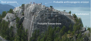 Root pressure, freeze thaw, anthropogenic erosion, and exfoliation.