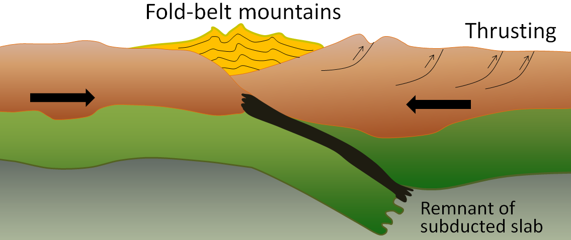 Figure displays a continent-continent convergent boundary. Because the plates are both continental, the crust cannot be subducted. Instead, fold-belt mountains are created where sediment layers are folded and forced upwards due to the abundant thrust faulting that occurs in this tectonic setting.