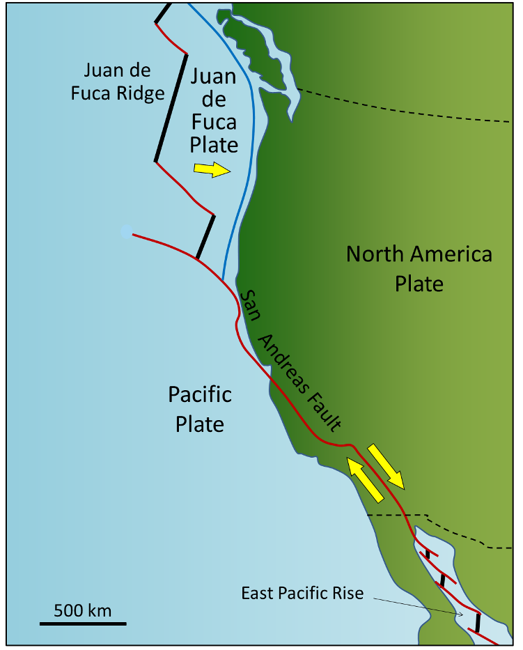Figure shows a line along the transform San Andreas Fault and another connecting parts of the Juan de Fuca Ridge. Wider dark lines represent the Juan de Fuca Ridge. The thin line off the coast of the Pacific Northwest of North America represents the convergent boundary between the Juan de Fuca Plate and North America.