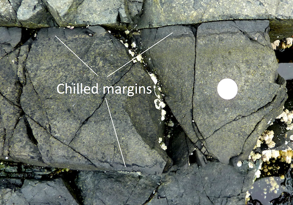 Image shows a mafic dike with chilled margins within basalt at Nanoose, B.C. The coin is 24 mm in diameter. The dike is about 25 cm across and the chilled margins are 2 cm wide.