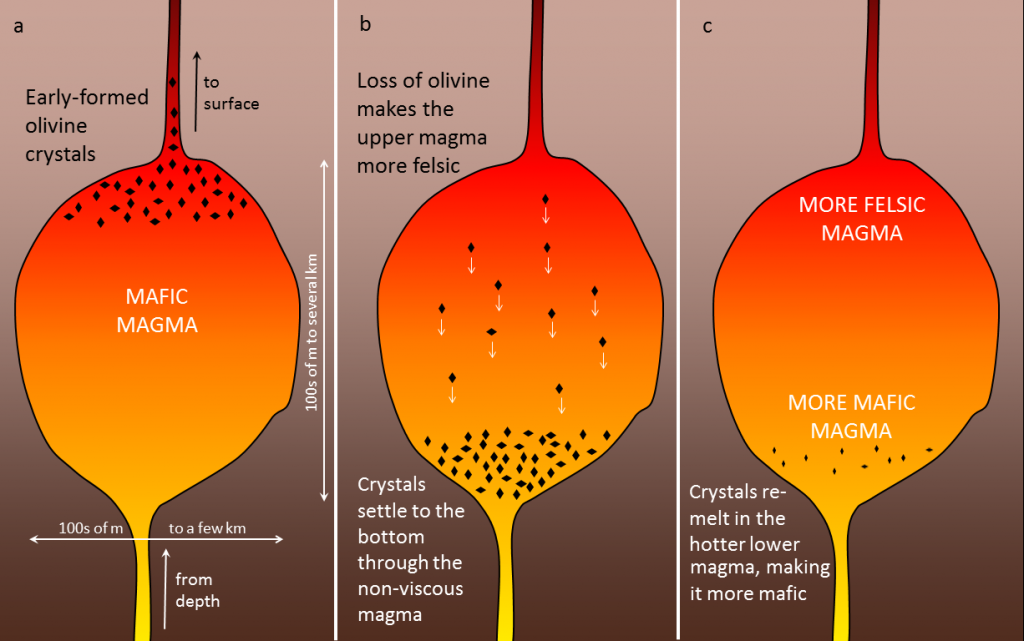 Figure shows the formation of a zoned magma chamber. a- Olivine crystals form. b- Olivine crystals settle to the base of the magma chamber, leaving the upper part of the chamber richer in silica. c- Olivine crystals remelt, making magma at the base of the chamber more mafic.