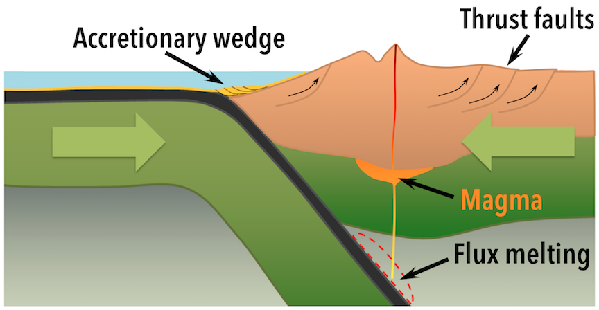 Image shows a typical ocean-continent convergent boundary where an oceanic plate is being subducted under a continent. As it is subducted, it sediments are scraped off onto the edge of the continent. This creates an "accretionary wedge". The subducting plate will cause flux melting at sufficient depth and temperature, this magma will make its way upwards through continent kilometers inwards of the subduction zone and create a volcanic arc. On its way to the volcano, magma pools at the crust-mantle boundary in a crystal reservoir known commonly as a magma chamber. This tectonic setting will create thrust faults due to the compression created by convergence.