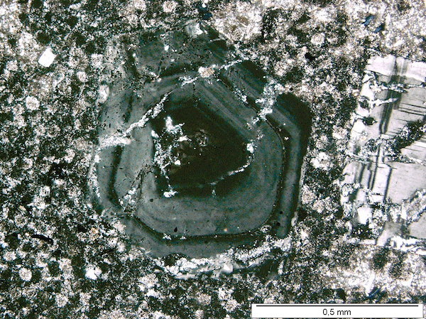 Image shows plagioclase crystal exhibiting compositional zones.