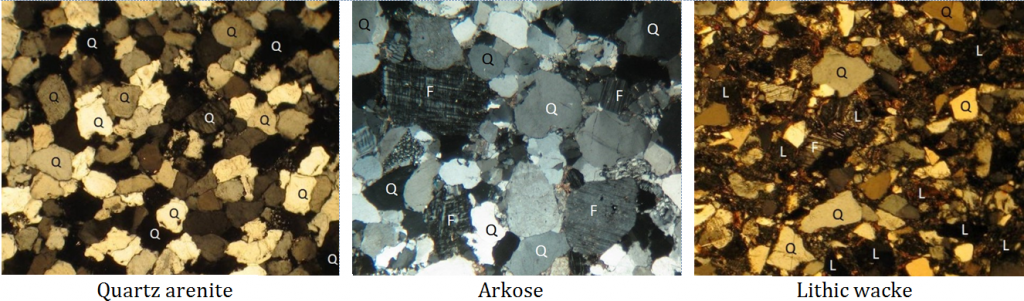 Photos of thin sections of three types of sandstone. ome of the minerals are labelled: Q=quartz, F=feldspar and L= lithic (rock fragments). The quartz arenite and arkose have relatively little silt/clay matrix, while the lithic wacke has abundant matrix.