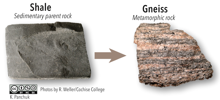 Images show parent rock shale on the left which is a dark-colored, layered sedimentary rock that is transformed by metamorphosis to gneiss, a rock with alternating light and dark bands of minerals.