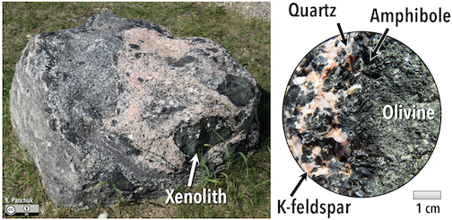 Images show boulder with olivine-rich xenoliths surrounded by silica-rich rock. Black rims on the xenoliths are where the olivine has reacted with the silica-rich melt, forming amphibole. Right- Enlarged view of the amphibole reaction rim.