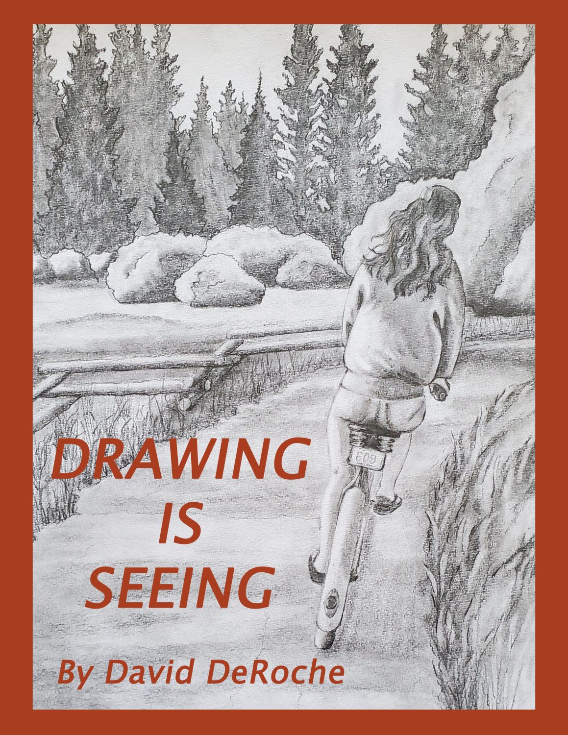Cover image for Drawing is Seeing