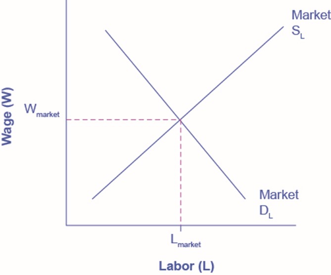 Standard supply and demand with wage as price and labor (L) as quantity