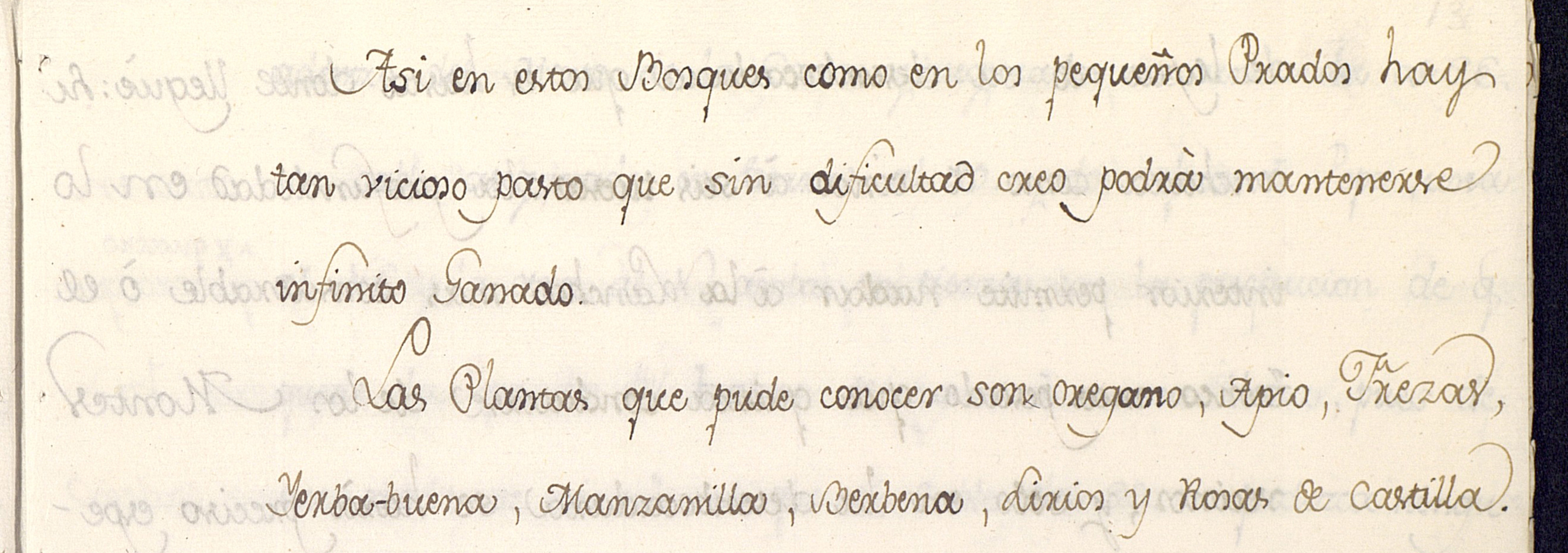 Primera referencia a la existencia de la planta del Orégano en el Diario de Hezeta