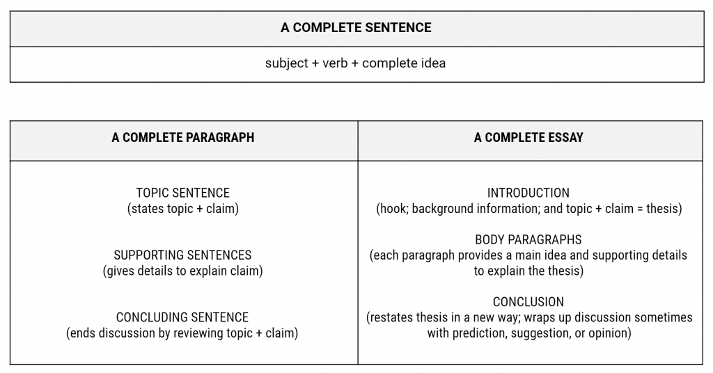 opinion paragraph structure