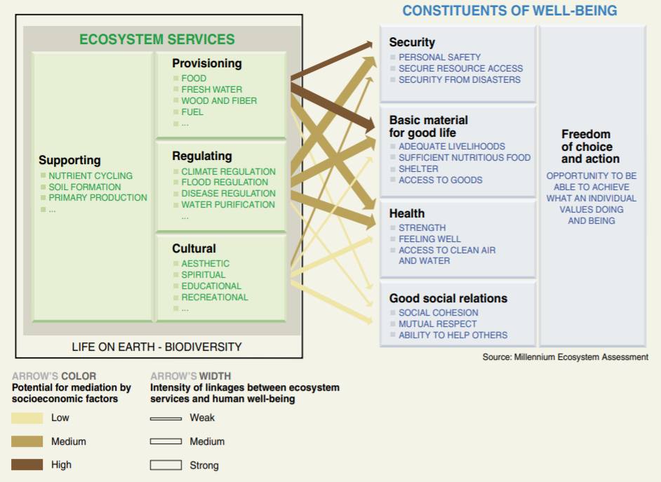 Table showing connections between ecosystem services and human wellbeing