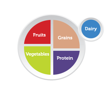 Infographic showing a picture of a plate divided into four segments: One segment is labeled "Fruits," one is labeled "Grains," one is labeled "Protein," and the last is labeled "Vegetables." Next to the plate is a circle (suggesting a cup or glass) that's labeled "Dairy."