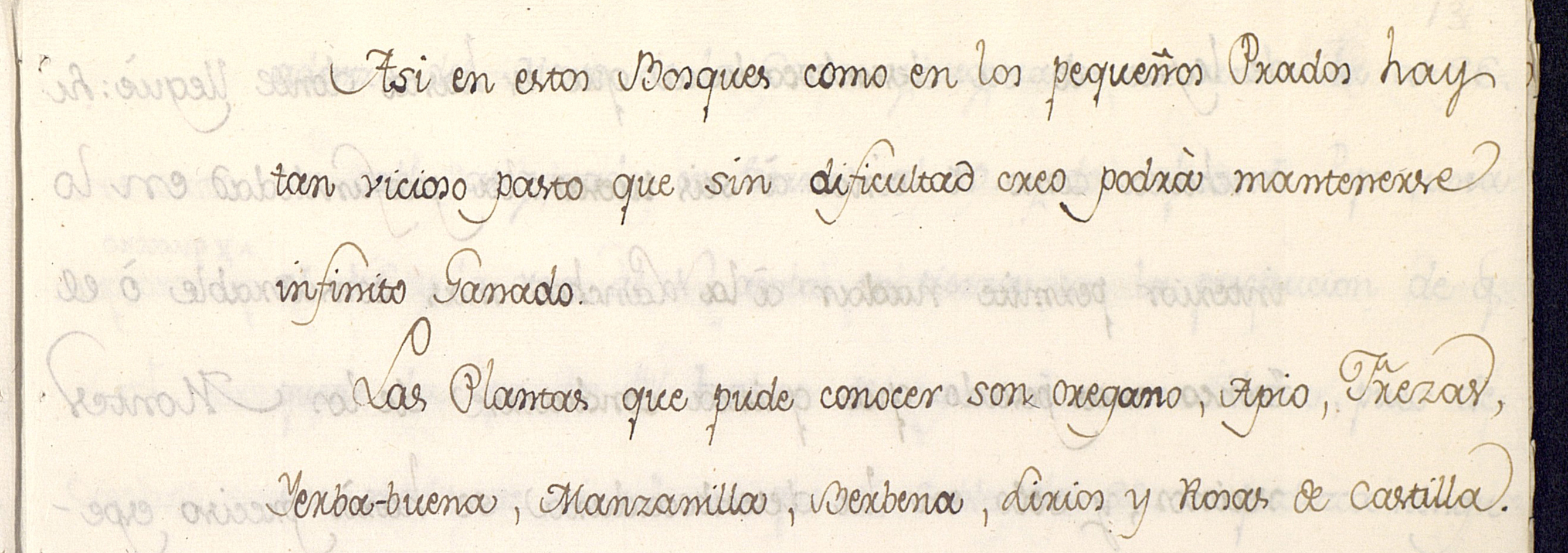 Spanish Exploration: Hezeta (Heceta) and Bodega y Quadra Expedition of 1775  to Formally Claim the Pacific Northwest for Spain 