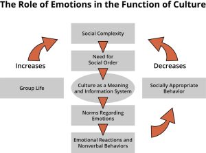 Model showing the role of emotion in the function of culture.