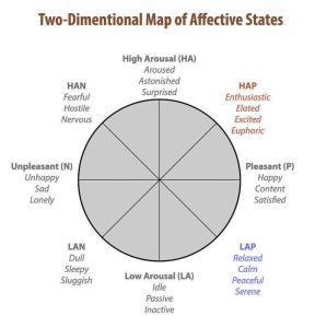 The Two-Dimensional Map of Affective States is represented as a circle with eight points.