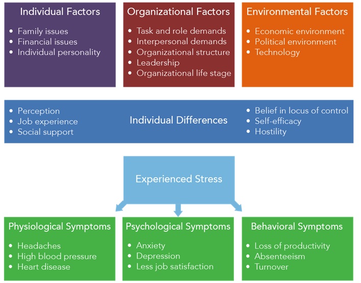Chart mapping out the various factors of stress, individual differences, and how people experience stress.