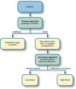 A concept map showing the process of interpreting a stressor through primary and secondary appraisal.