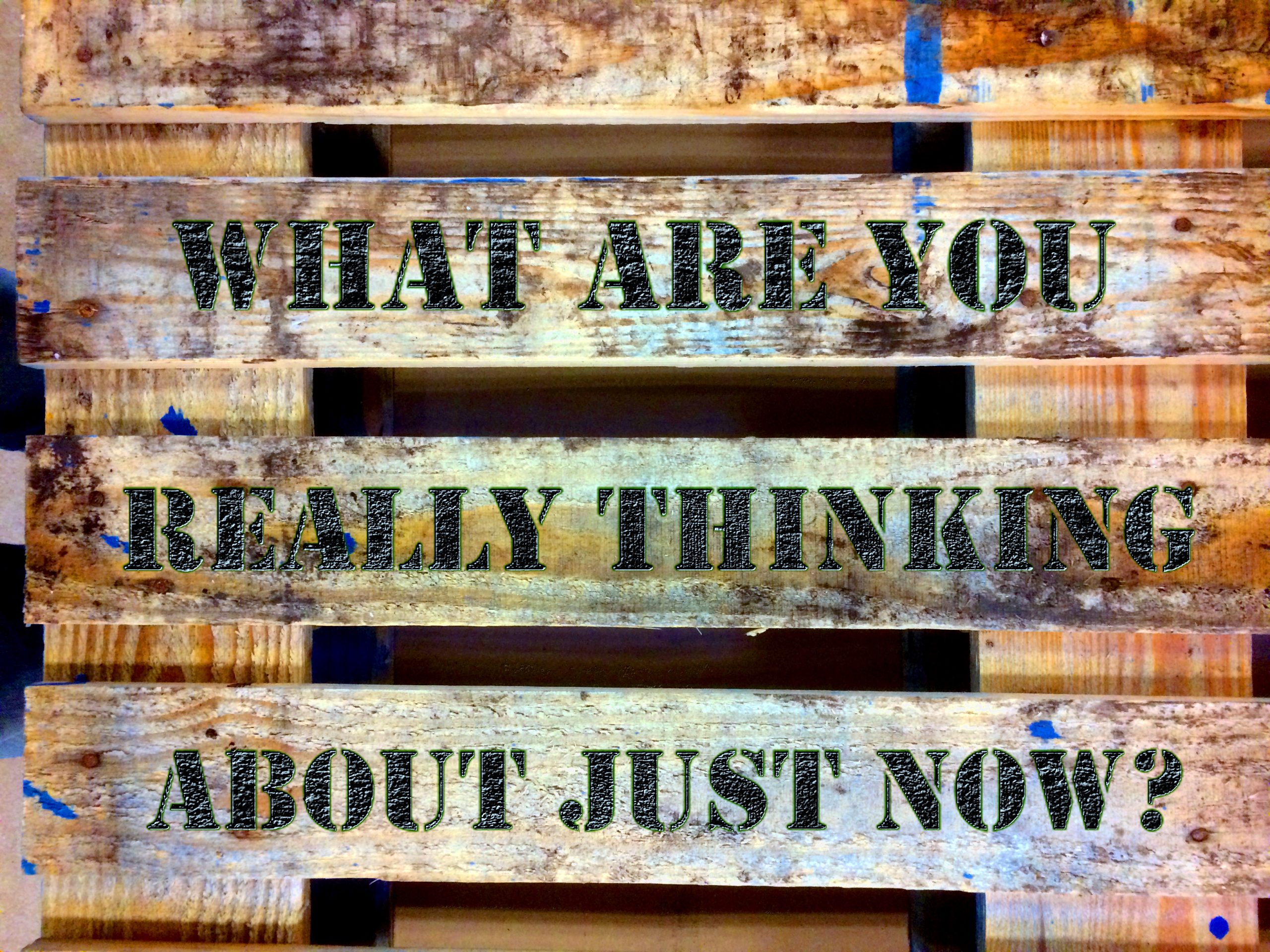 Wood sign saying "what are you thinking about just now?"