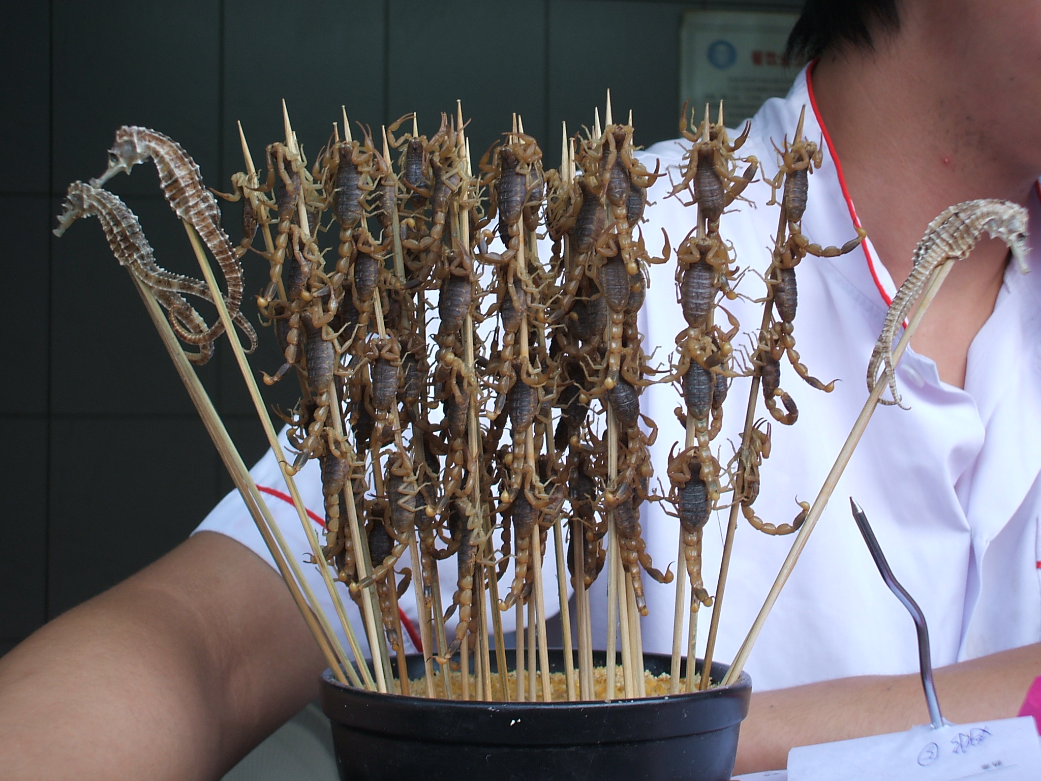 Scorpions and sea horse on skewers.