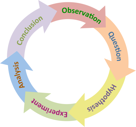 This is a circle of arrows in different colors (because the scientific method is a cyclical process) illustrating the different parts of the scientific method: observation, question, hypothesis, experiment, analysis, and conclusion.