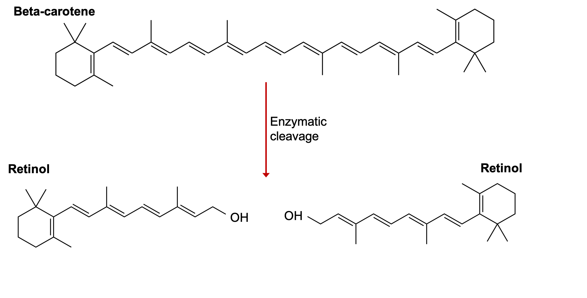 The image shows the skeletal formula of beta-carotene and how two molecules of retinol are formed when it is cleaved in half by an enzyme.