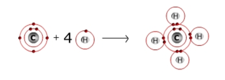 a molecule of methane is shown which is one carbon atom bonded to four hydrogen atoms. The methanols molecule allows carbon to have a full outer shell of 8 electrons since each hydrogen atom shares its electron.