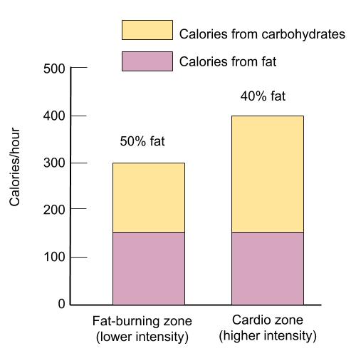 A chart depicts the amount of calories coming from carbohydrate and from fat depending on the intensity of the exercise. The cardio zone at a higher intensity uses more carbohydrate than fat compared to the fat-burning (lower intensity) zone, but the cardio zone also burns more total calories per hour.
