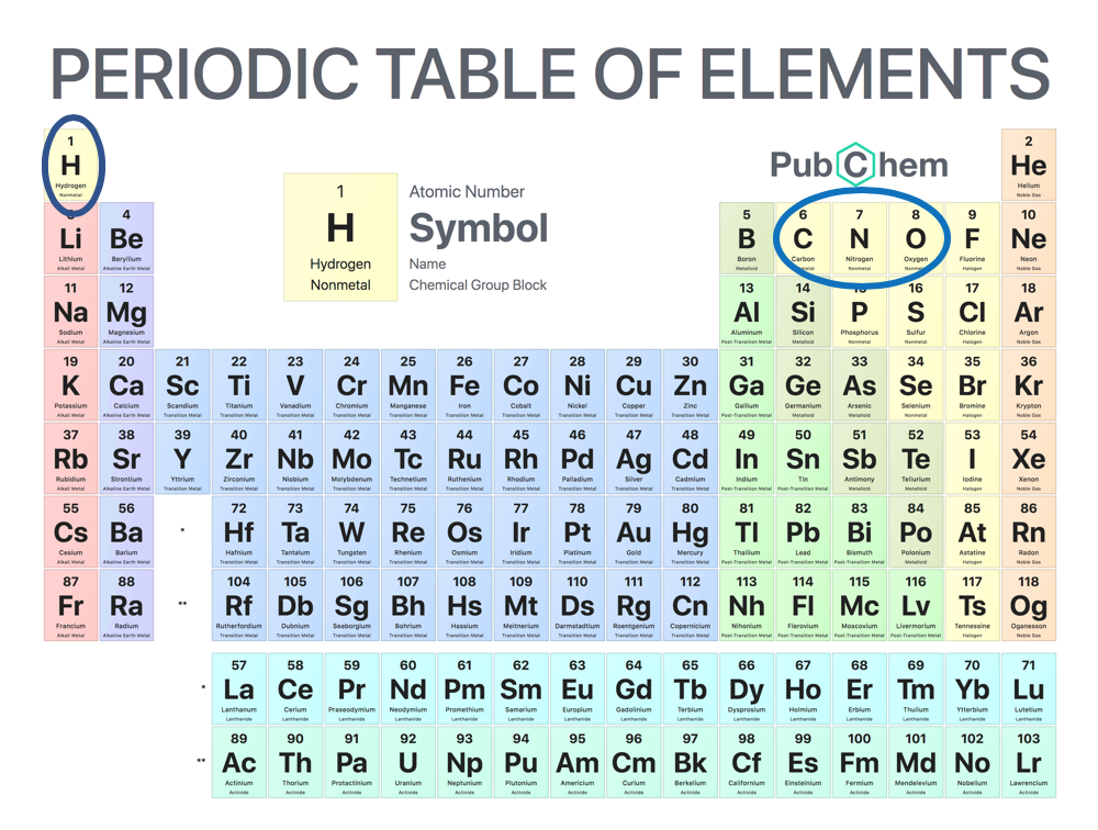 The periodic table shows the 100 different elements. Hydrogen, carbon, nitrogen, and oxygen are highlighted as they make up the bulk of all living matter.