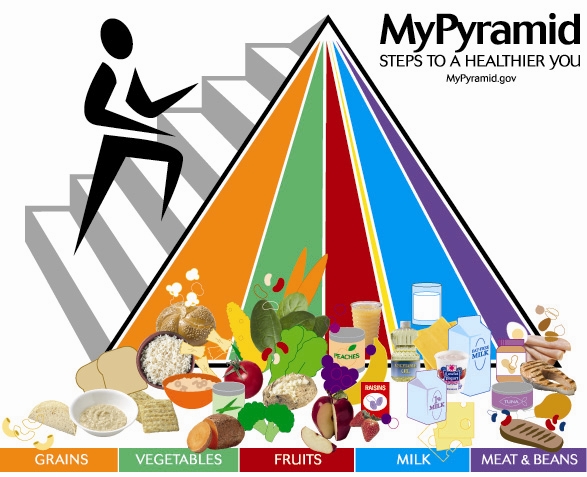 This graphic is a pyramid with a stick figure walking up a set of stairs on the side of the pyramid to represent the activity that is recommended. The front of the pyramid is sectioned into 6 different sections to represent the different food groups. Orange is the largest section and represents grains. A variety of foods are pictured in this group like rice, bread, and crackers. The next section is green for vegetables. Broccoli, carrots, and potatoes are a few foods pictured. The red section represents fruits, and raisins, juice and fresh fruit are pictured. A tiny yellow section is dedicated to fats and oils. The blue section is milk and has different dairy products like cheese and yogurt pictured. The last section is purple and is the meat and bean group. The biggest section is grains followed by dairy, vegetables, fruit, meat and beans and then oils.