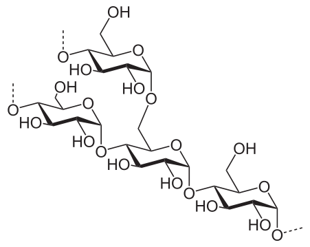 figure shows chemical structure of a segment of amylopectin (a type of starch) with 4 glucose units linked together, including one branc