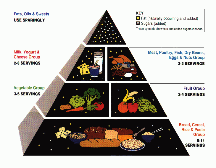 This is a pyramid that is broken into sections to represent the different food groups. The Bread, Cereal, Rice, and Pasta Group is the largest section which makes up the base of the pyramid. On top of the bread group is the Vegetable Group and the Fruit Group. The vegetable group is slightly larger than the fruit group. As you move up the pyramid the next two groups are the Milk, Yogurt and Cheese Group and the Meat, Poultry, Fish, Dry Beans, Eggs and Nuts Group. The very tip is Fats, Oils and Sweets, represented with circles and triangles. These circles and triangles are also scattered within the groups below to show that these foods also contain fats and sugars.