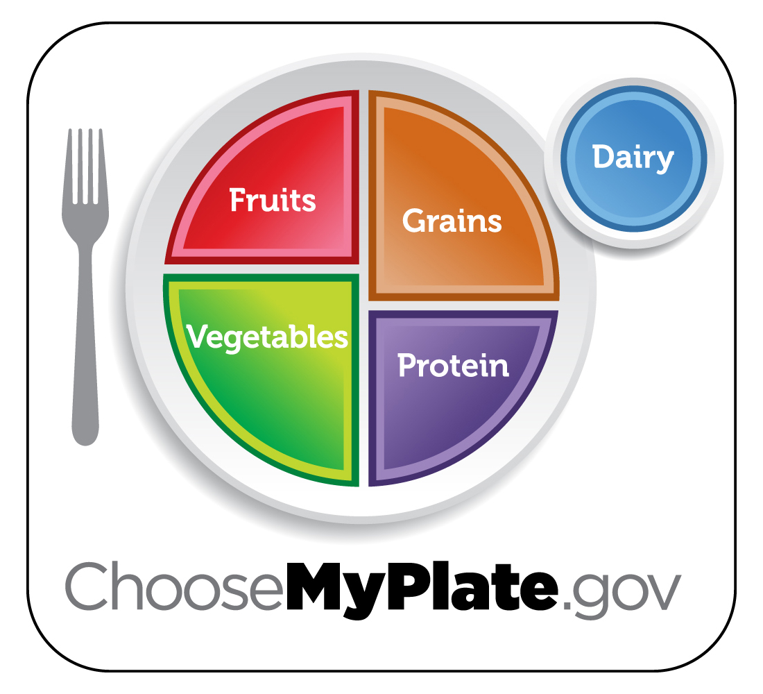 A plate which is divided into 4 parts. Half of the plate is Fruits and Vegetables (with the vegetables being a slightly larger segment). And the other half is grains and protein, with the grains being a slightly larger segment. Dairy is shown on the side in a small circle, representing a cup.