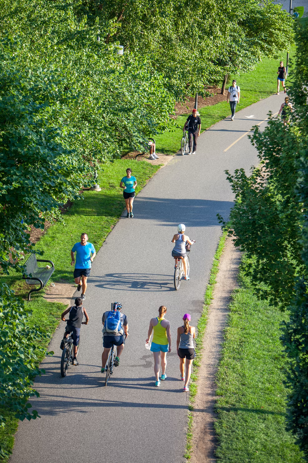 A path where people are walking, biking, and jogging through the trees.