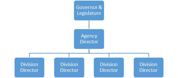 Chart showing a basic public agency structure