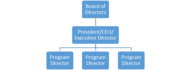 This chart graphs the structure of a nonprofit agency