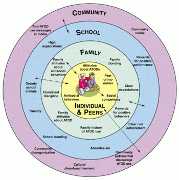 A series of concentric circles. The center is the individual, the next circle out is family, then school, then community.