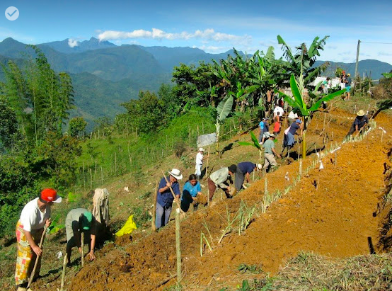 A group of people with various tools like sticks and hoes, work in a line digging in the dirt.