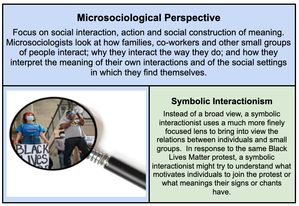 Box which explains the microciological perspective, with focus on social interaction and the social construction of meaning. Microsociologists, such as interactionists, examine how families, co-workers and other small groups interact, why they interact the way they do and how they interpret the meaning of interactions. Considering the Black Lives Matter movement, an interactionist would examine how individuals are motivated to join protests or what meanings their signs or chants have.