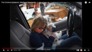 Screenshot from The Eviction Epidemic video, young child sitting in a car holding a white dog. In the background you can see furniture and boxes on the lawn.