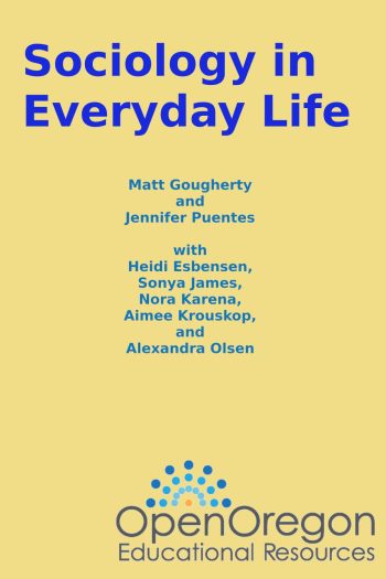 Cover image for Sociology in Everyday Life