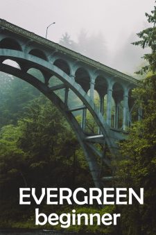 Evergreen (Beginner) book cover