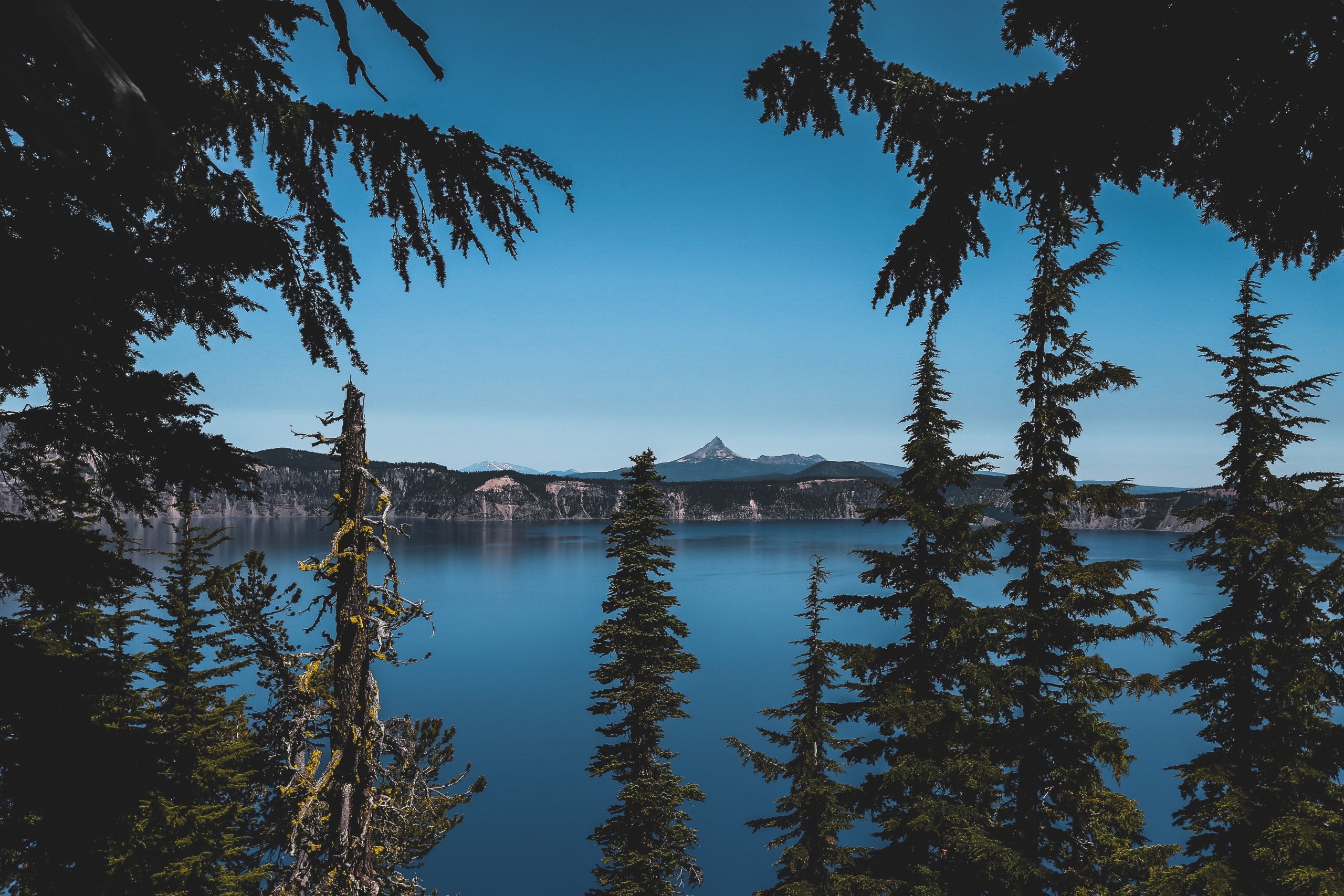 trees, lake, and mountain