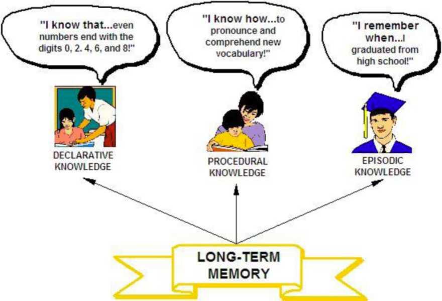 Sensory Memory, Overview, Examples & Types - Lesson