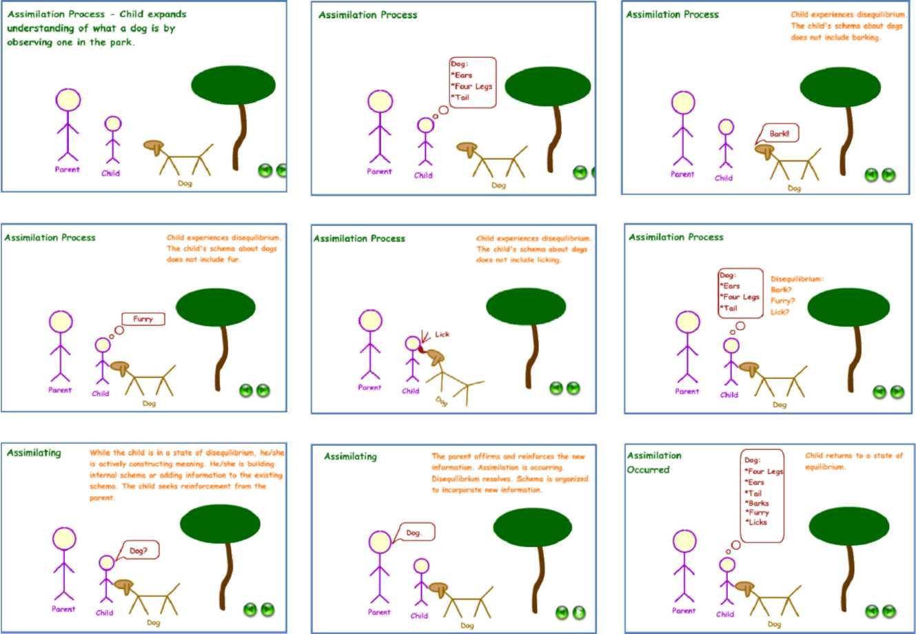 A comic explaining the assimilation process in a child. The child processes new information about a dog, such as "barks" and "lick", and assimilates it in the dog schema.