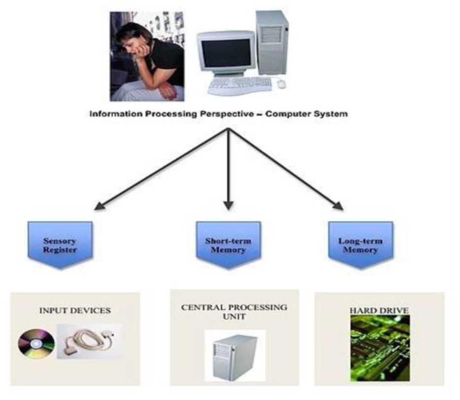 A flowchart of information processing likened to a computer. The computer or the information processing perspective consists of sensory register, which is equivalent to input devices, short-term memory, which is equivalent to the central processing unit, and long-term memory, which is equivalent to the hard drive.