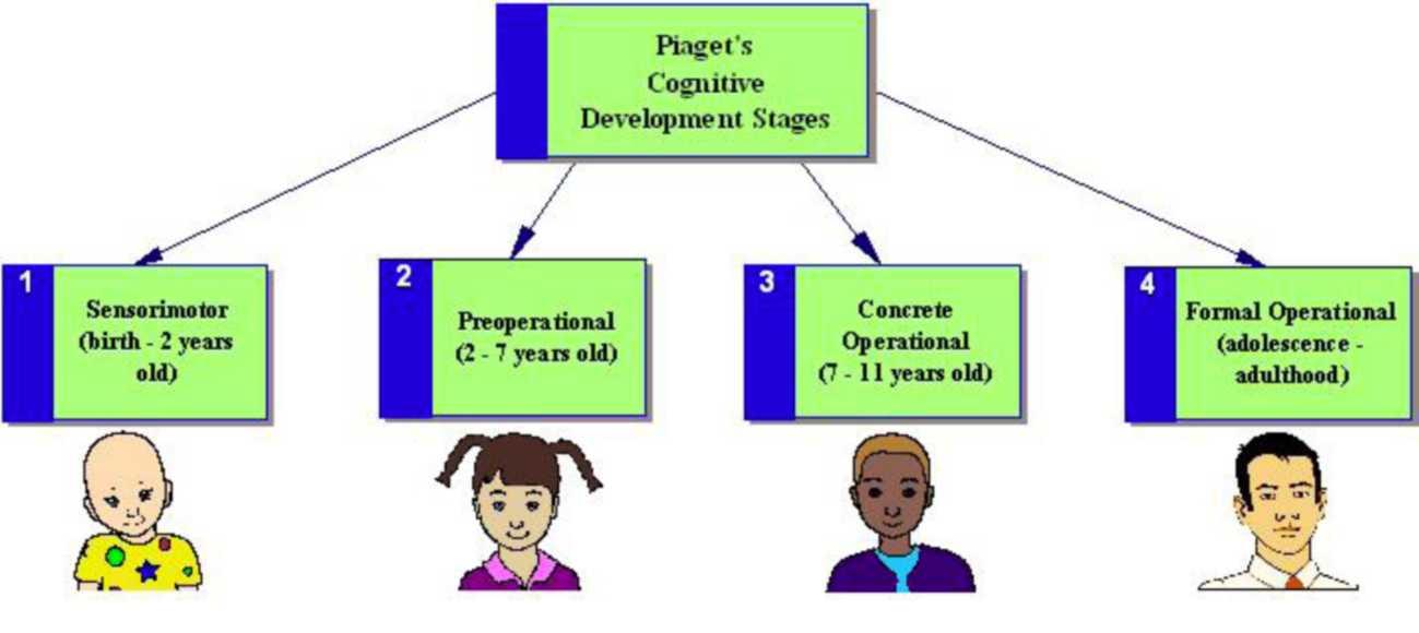 A flowchart showing Piaget's Cognitive Development Stages. The first stage is the sensorimotor stage, from birth till 2 years old. Next is the preoperational stage, from 2 to 7 years old. Next is concrete operational stage, from 7 to 11 years old. The last stage is the formal operational stage, from adolescence to adulthood.