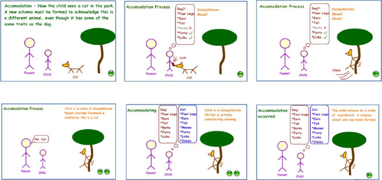 A comic explaining the accommodation process in a child. When a child sees a cat, they try to fit it in the dog schema but fail to do so. They then create a new schema for a cat.