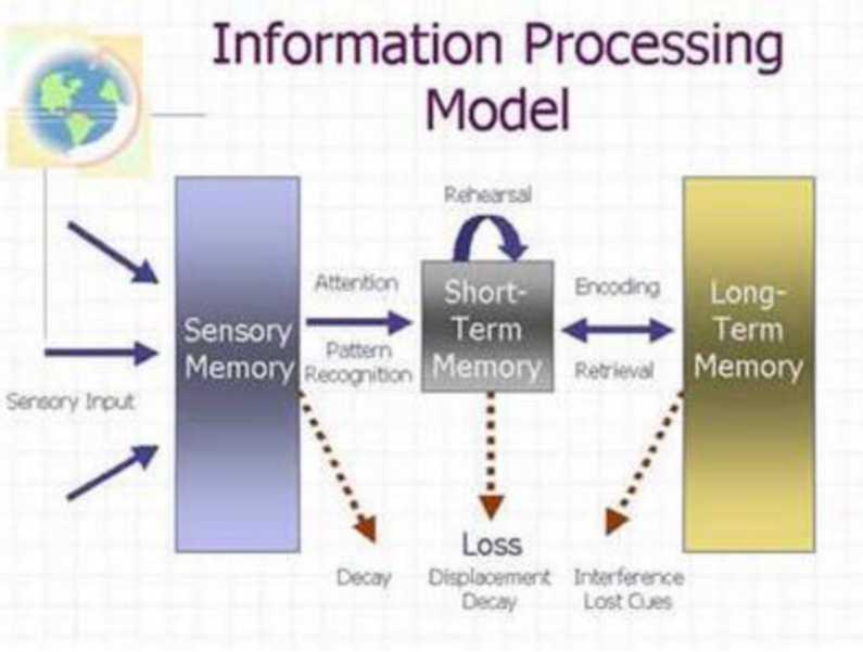 A flowchart showing the information processing model. The sensory memory takes in the sensory input. Some information is decayed and the rest goes to short-term memory, via attention and pattern recognition. Some information is lost to displacement decay while some is retained via rehearsal. This information is passed to long-term memory via encoding. Information can also be retrieved from long-term memory via retrieval. Some information in long-term memory is lost to interference lost cues.
